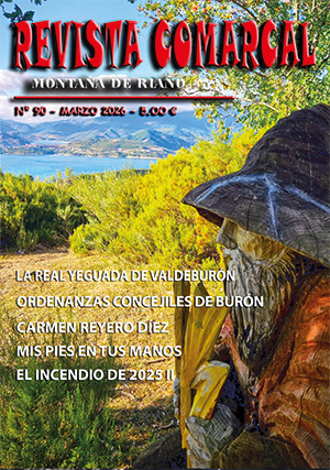 Revista Comarcal 90