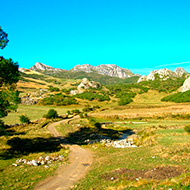 gr-1-acebedo-tarna