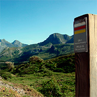 gr-1-acebedo-tarna