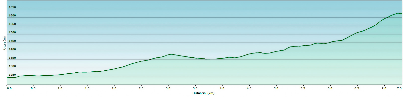 grafico pr-le-19