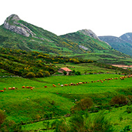 senderista