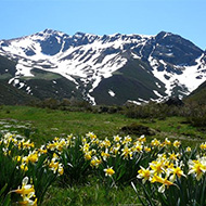 senderista