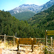 senderista