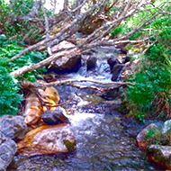 senderista