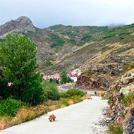 senderista