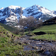 senderista