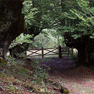 senderista