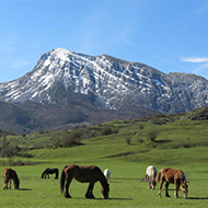 senderista