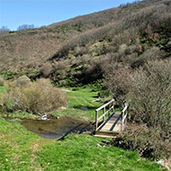 senderista