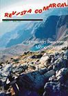 Revista 1