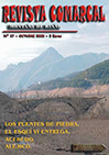 Revista 17
