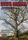 Revista 26