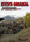 Revista 29