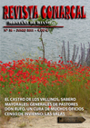 Revista 38