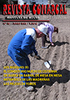 Revista 53